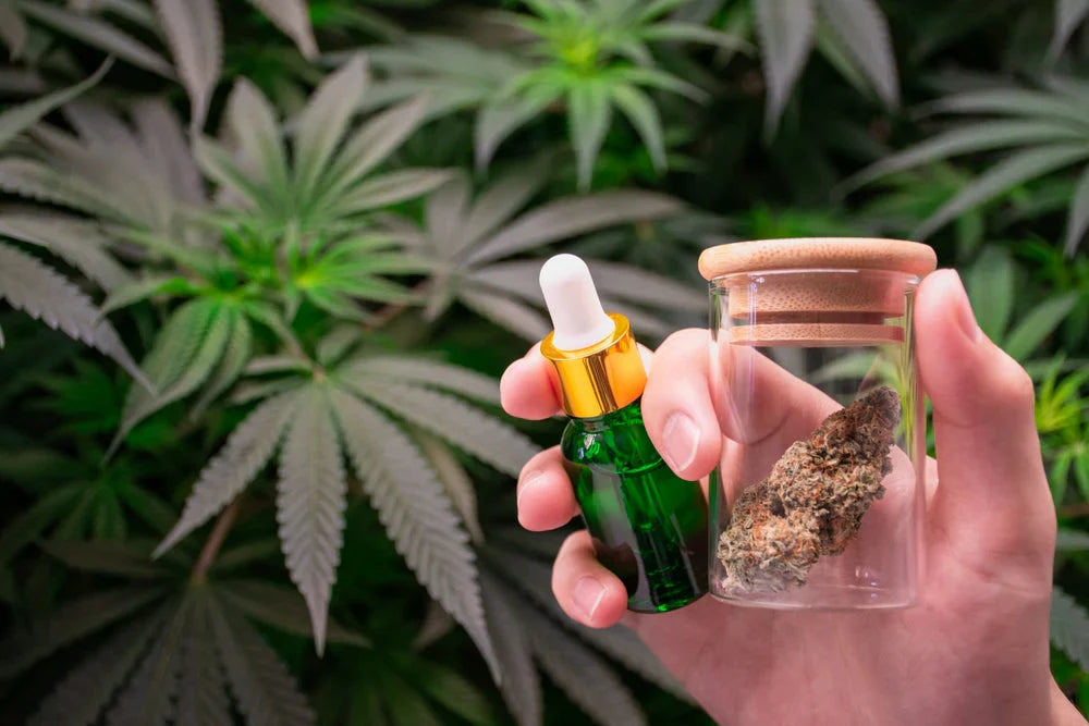 Bioavailability Breakdown: Why Some HEMP Infusion Hits Faster
